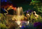 HOW TO MAKE AN INTERESTING GARDEN LIGHTING