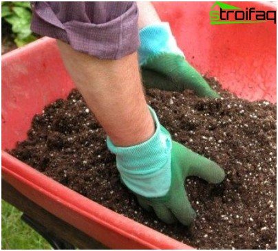 préparation du terrain