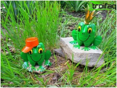 Princesse grenouille