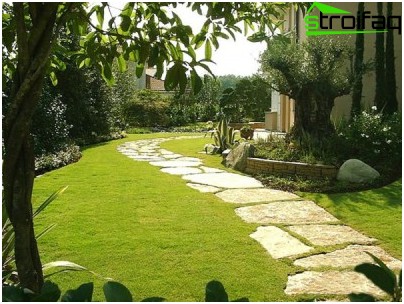 Sur une telle pelouse, les enfants peuvent s'amuser pelouse maison