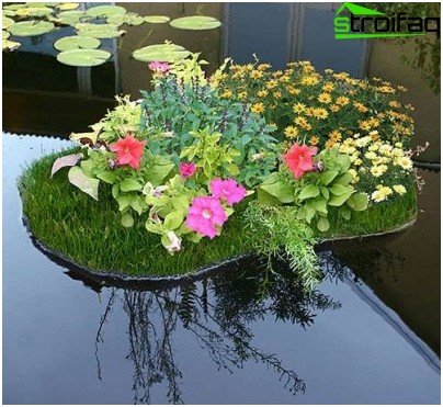 Étang de jardin de campagne