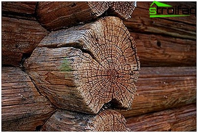 Vieille maison en bois